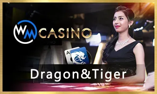 Sports Betting for an Exciting Playtime Show